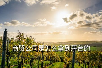 商貿(mào)公司是怎么拿到茅臺的