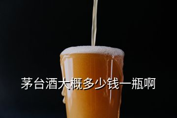 茅臺(tái)酒大概多少錢(qián)一瓶啊