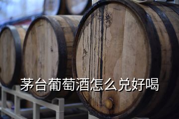 茅臺(tái)葡萄酒怎么兌好喝