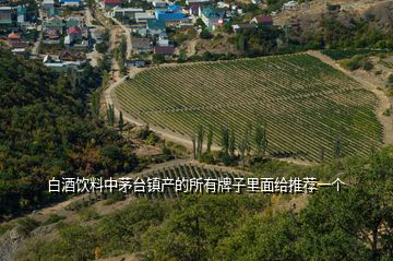 白酒飲料中茅臺鎮(zhèn)產(chǎn)的所有牌子里面給推薦一個