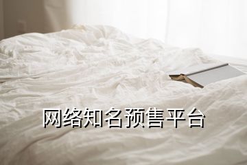 網(wǎng)絡知名預售平臺