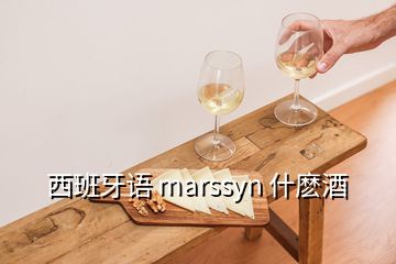 西班牙語(yǔ) marssyn 什麼酒