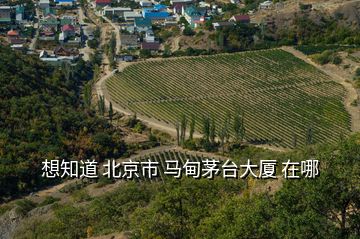 想知道 北京市 馬甸茅臺大廈 在哪