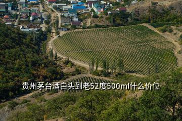 貴州茅臺酒白頭到老52度500mI什么價位