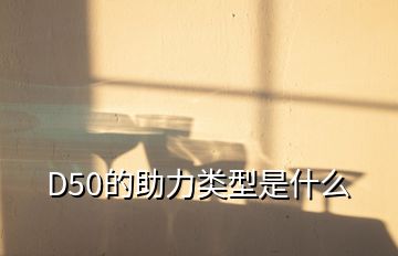 D50的助力類(lèi)型是什么