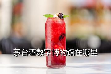 茅臺(tái)酒數(shù)字博物館在哪里