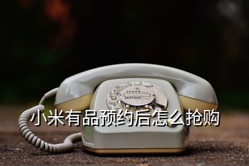 小米有品預約后怎么搶購