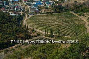 茅臺(tái)都賣(mài)上千塊一瓶了那些十幾塊一瓶的白酒能喝嗎