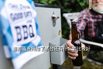 誰知道貴州除了茅臺(tái)還有什么酒比較好