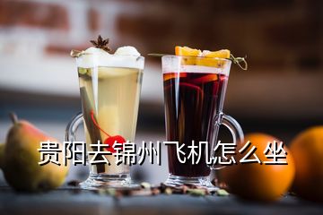 貴陽去錦州飛機怎么坐