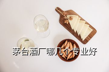 茅臺(tái)酒廠哪幾個(gè)專(zhuān)業(yè)好