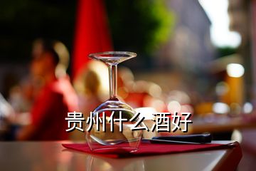 貴州什么酒好