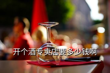 開個酒專賣店要多少錢啊