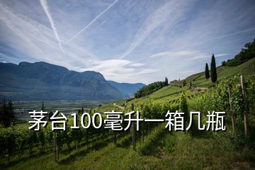 茅臺(tái)100毫升一箱幾瓶