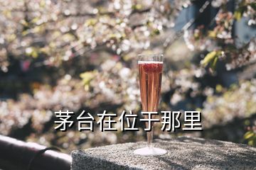 茅臺(tái)在位于那里