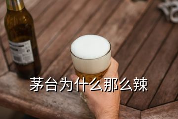 茅臺為什么那么辣