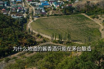 為什么地道的醬香酒只能在茅臺釀造