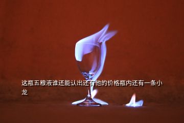 這瓶五糧液誰還能認出還有他的價格瓶內(nèi)還有一條小龍