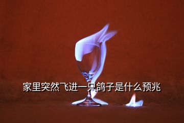 家里突然飛進一只鴿子是什么預(yù)兆