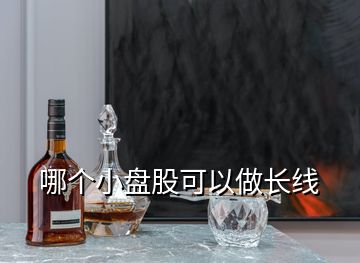 哪個(gè)小盤股可以做長線