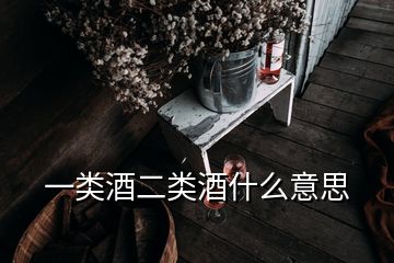 一類(lèi)酒二類(lèi)酒什么意思