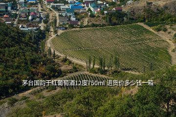 茅臺國韻干紅葡萄酒12度750ml 進貨價多少錢一箱