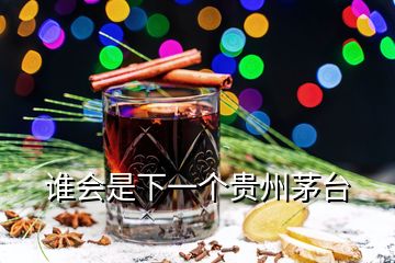 誰會是下一個貴州茅臺