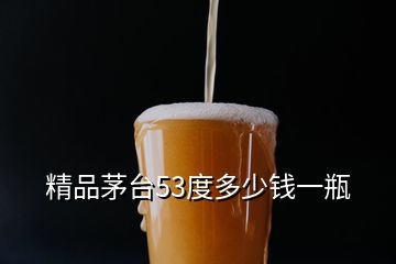 精品茅臺53度多少錢一瓶