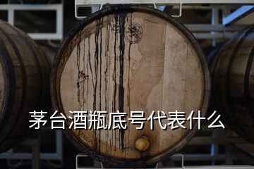 茅臺(tái)酒瓶底號(hào)代表什么