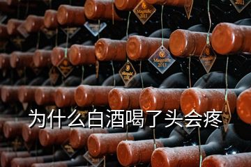 為什么白酒喝了頭會疼