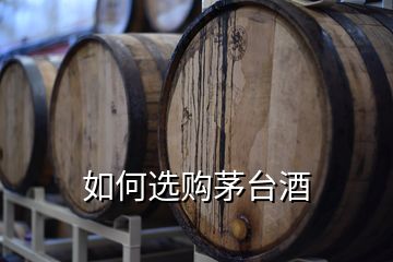 如何選購茅臺(tái)酒