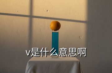 v是什么意思啊