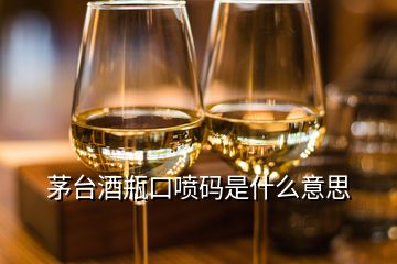 茅臺酒瓶口噴碼是什么意思