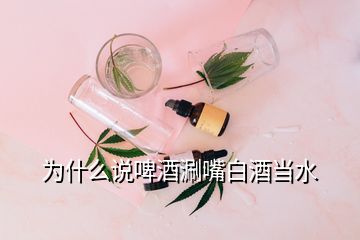 為什么說啤酒涮嘴白酒當(dāng)水