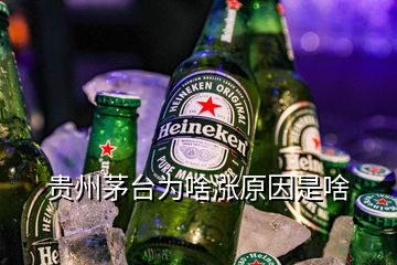 貴州茅臺(tái)為啥漲原因是啥