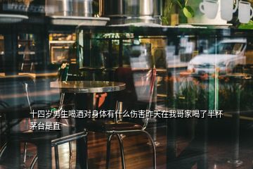 十四歲男生喝酒對身體有什么傷害昨天在我哥家喝了半杯茅臺是直