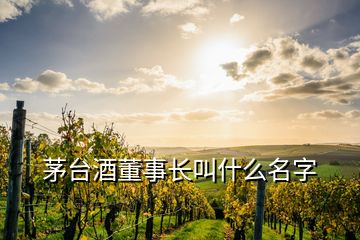 茅臺酒董事長叫什么名字