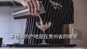 茅臺酒的產地是在貴州省的哪里