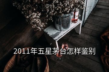 2011年五星茅臺怎樣鑒別