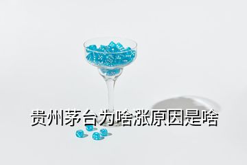 貴州茅臺(tái)為啥漲原因是啥