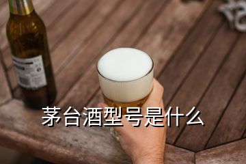 茅臺酒型號是什么