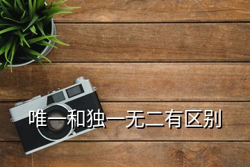 唯一和獨(dú)一無(wú)二有區(qū)別