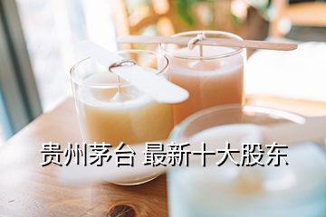 貴州茅臺 最新十大股東