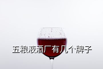 五糧液酒廠有幾個(gè)牌子