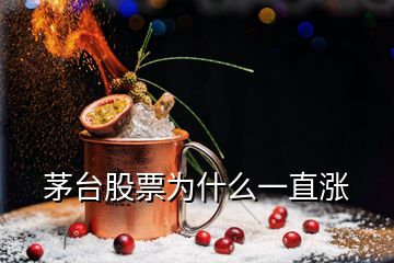 茅臺股票為什么一直漲