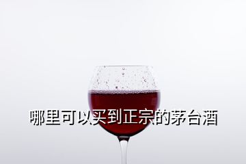 哪里可以買到正宗的茅臺酒