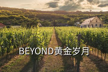 BEYOND黃金歲月