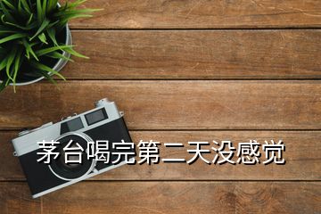 茅臺(tái)喝完第二天沒感覺