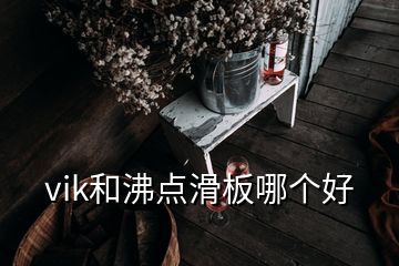 vik和沸點滑板哪個好