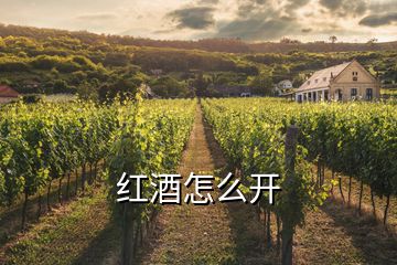 紅酒怎么開